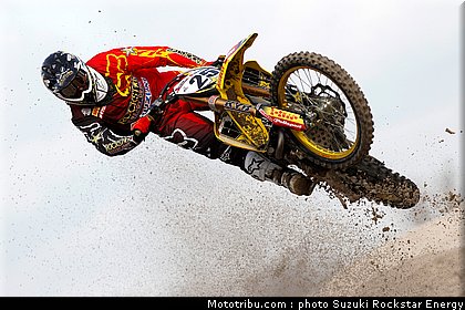 desalle_029.jpg