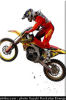 desalle_037.jpg