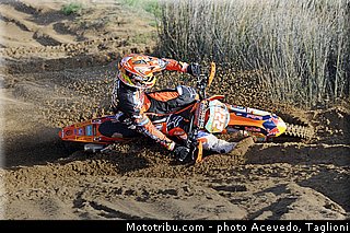 cairoli_002_motocross_2013_team_ktm_mx1_et_mx2.jpg