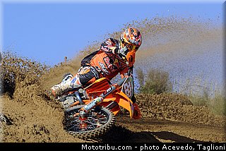 cairoli_006_motocross_2013_team_ktm_mx1_et_mx2.jpg