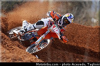 herlings_003_motocross_2013_team_ktm_mx1_et_mx2.jpg