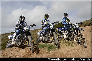 team_2_motocross_monster_energy_yamaha_racing_team_2013.jpg