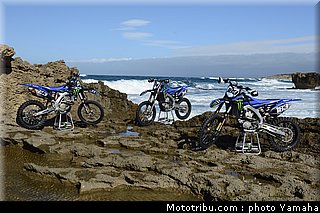 team_5_motocross_monster_energy_yamaha_racing_team_2013.jpg