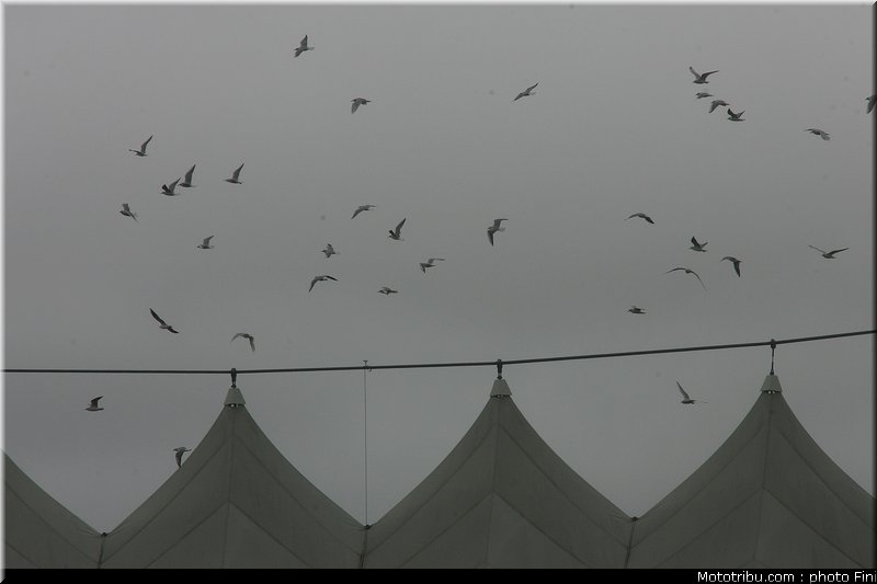 civ_125_014_misano2_2010