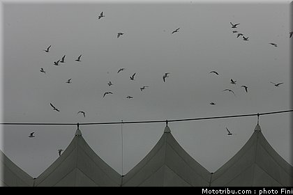 civ_125_014_misano2_2010.JPG