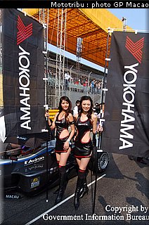0119_pitbabes_macao2005_007.jpg