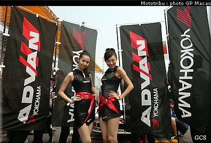 0216_macao_pitbabes2007_03.jpg