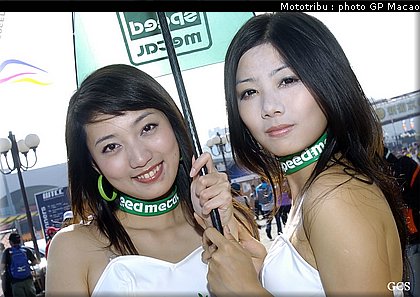 0219_macao_pitbabes2007_06.jpg