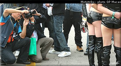 0237_macao_pitbabes2007_24.jpg