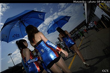 pitbabes_macao2008_012.jpg