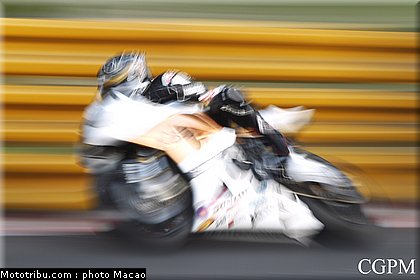 macao_2010_toye_6.jpg