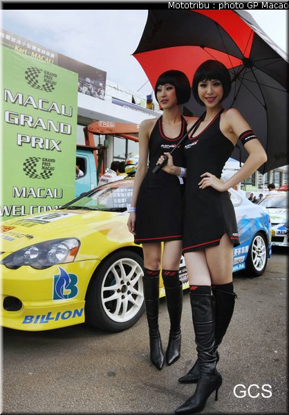 pitbabes_macao2008_023