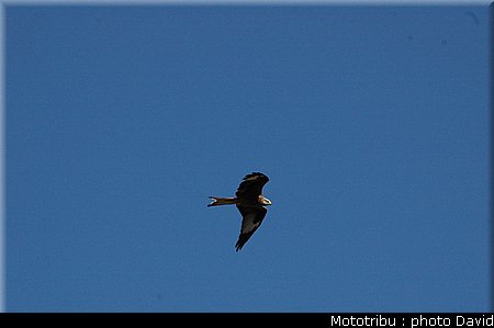 mototour2008_photodavid_0169.JPG
