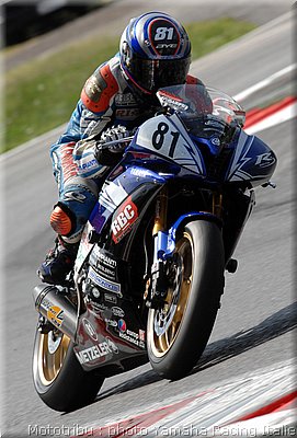erbacci4.jpg
