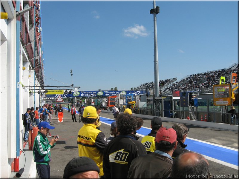 boldor_2008_103