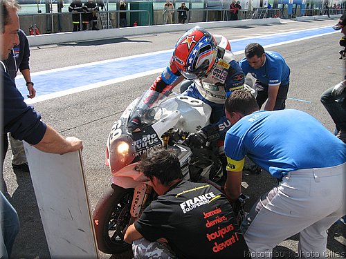boldor_2008_110.JPG