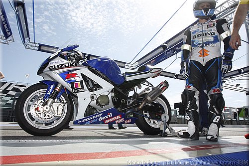 suzuki_dietrich_2.jpg