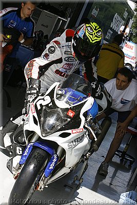 suzuki_1.jpg