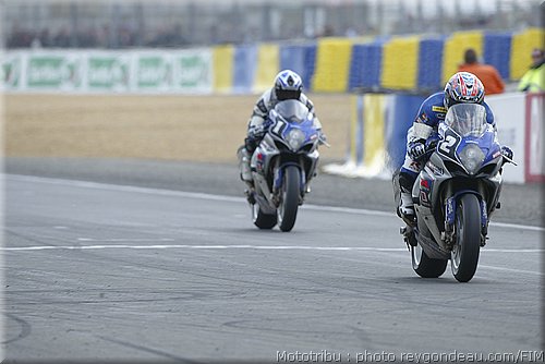 0119_fin-sert2.JPG