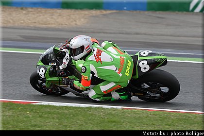 2008_boldor_3.jpg