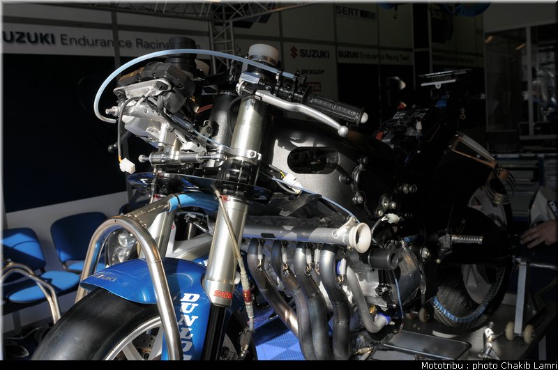 paddock_0010