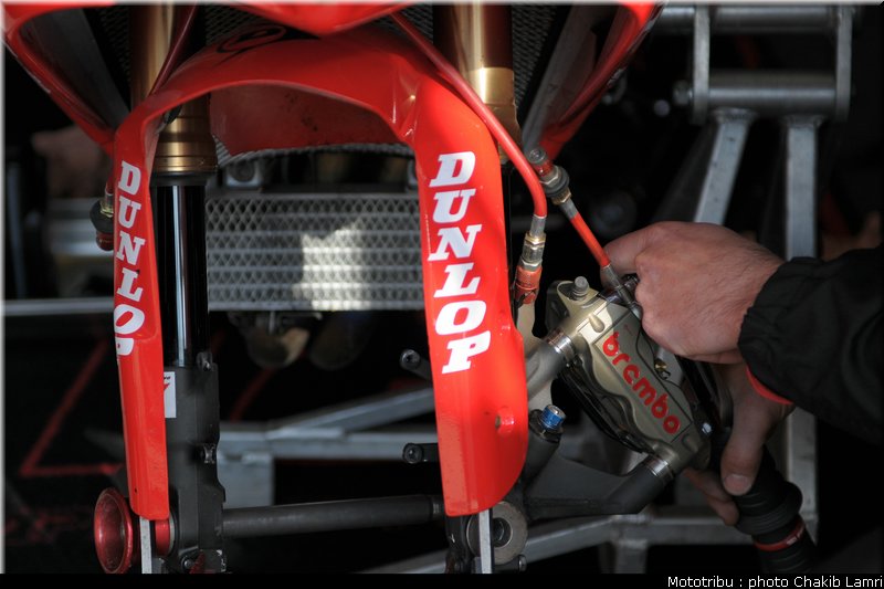 paddock_0011