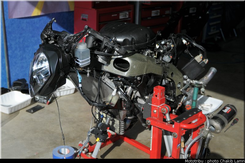 paddock_0021