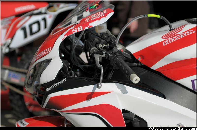 paddock_0022