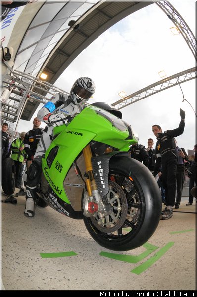paddock_0072