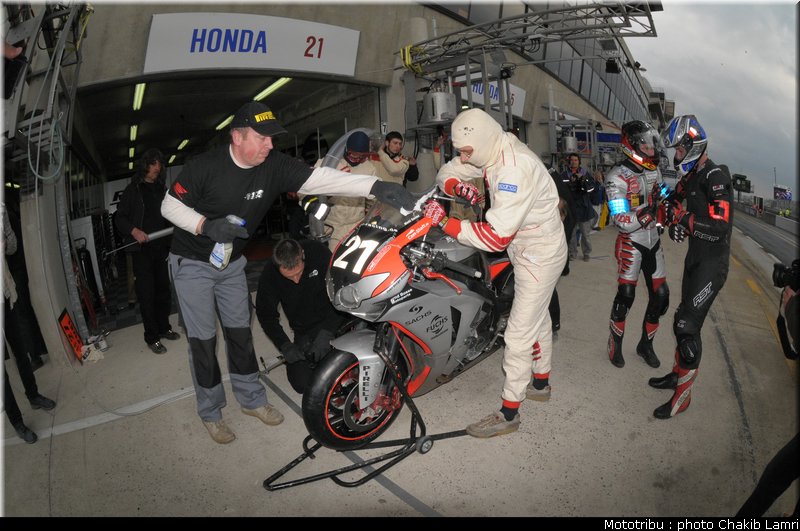 paddock_0078