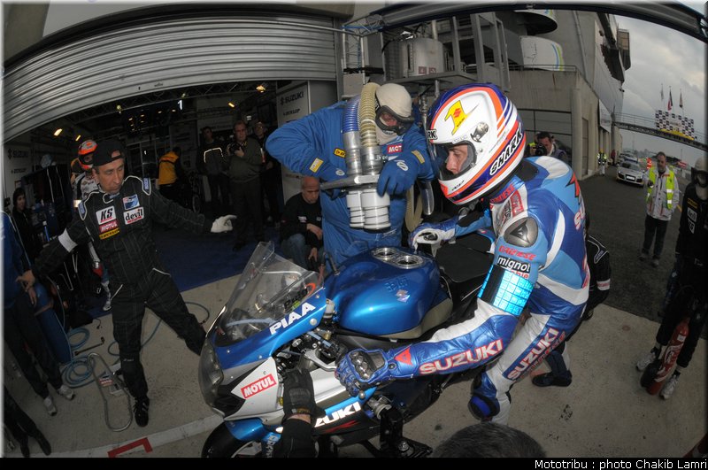 paddock_0082
