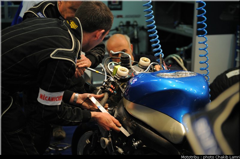 paddock_0113