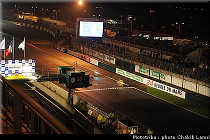 paddock_0002.jpg