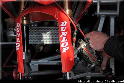 paddock_0011.jpg
