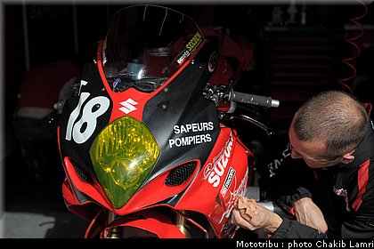 paddock_0012.jpg