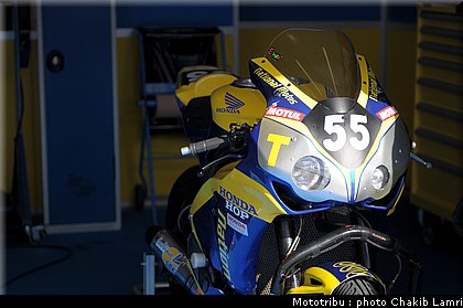 paddock_0014.jpg