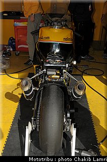 paddock_0018.jpg