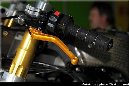 paddock_0019.jpg