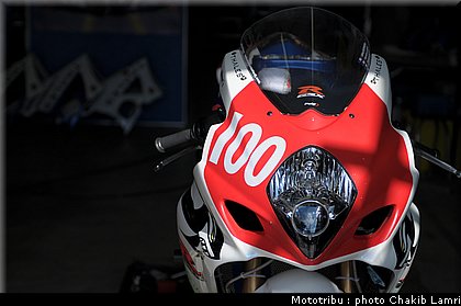 paddock_0020.jpg