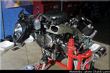 paddock_0021.jpg