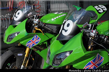 paddock_0024.jpg