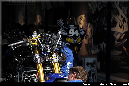 paddock_0025.jpg