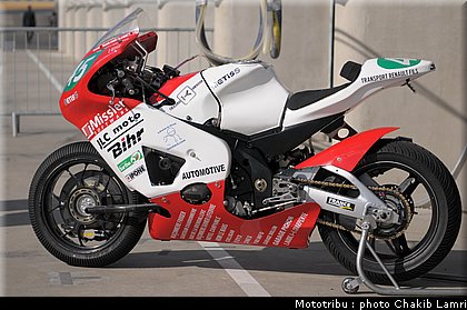 paddock_0026.jpg