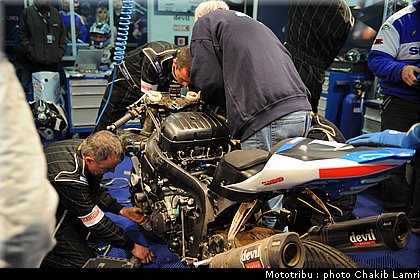 paddock_0111.jpg
