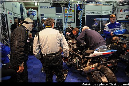 paddock_0112.jpg