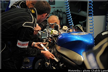 paddock_0113.jpg