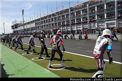 bol_dor_0002_2010.JPG