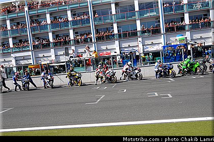 bol_dor_0006_2010.JPG
