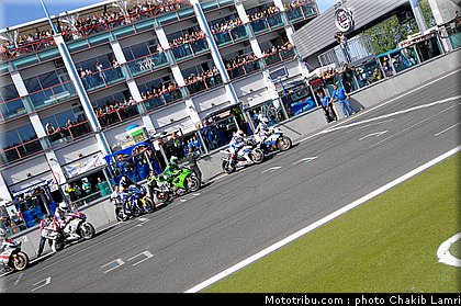 bol_dor_0008_2010.JPG