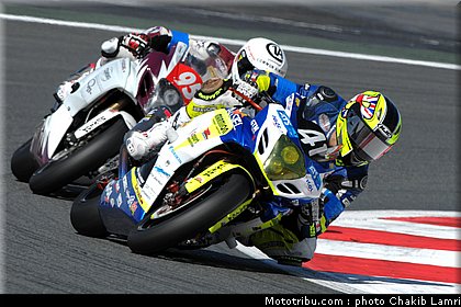 bol_dor_0032_2010.JPG